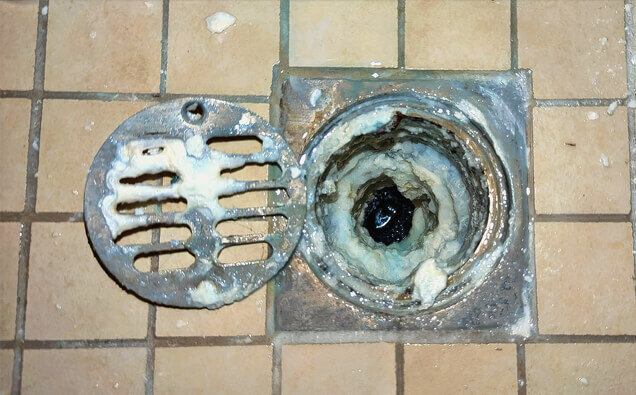 https://blockeddrainswilletton.com.au/uploads/2025/07/blocked-shower-drains-33151.jpg