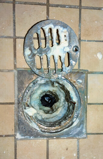 https://blockeddrainswilletton.com.au/uploads/2025/07/blocked-shower-drains-86331.jpg