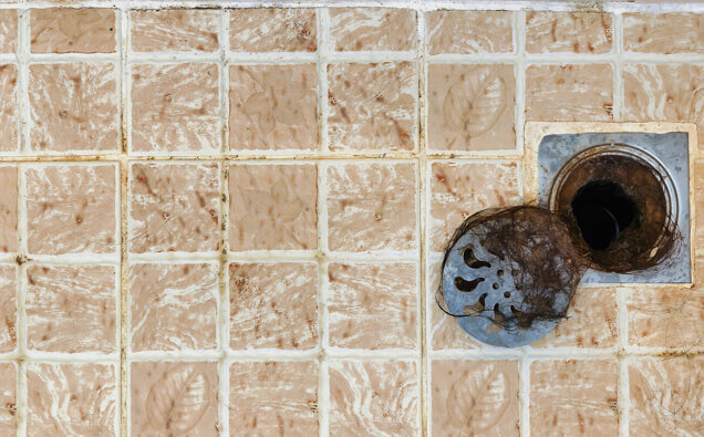 https://blockeddrainswilletton.com.au/uploads/2025/07/blocked-shower-drains-91576.jpg