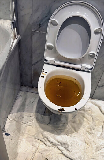 https://blockeddrainswilletton.com.au/uploads/2025/07/blocked-toilet-27793.jpg